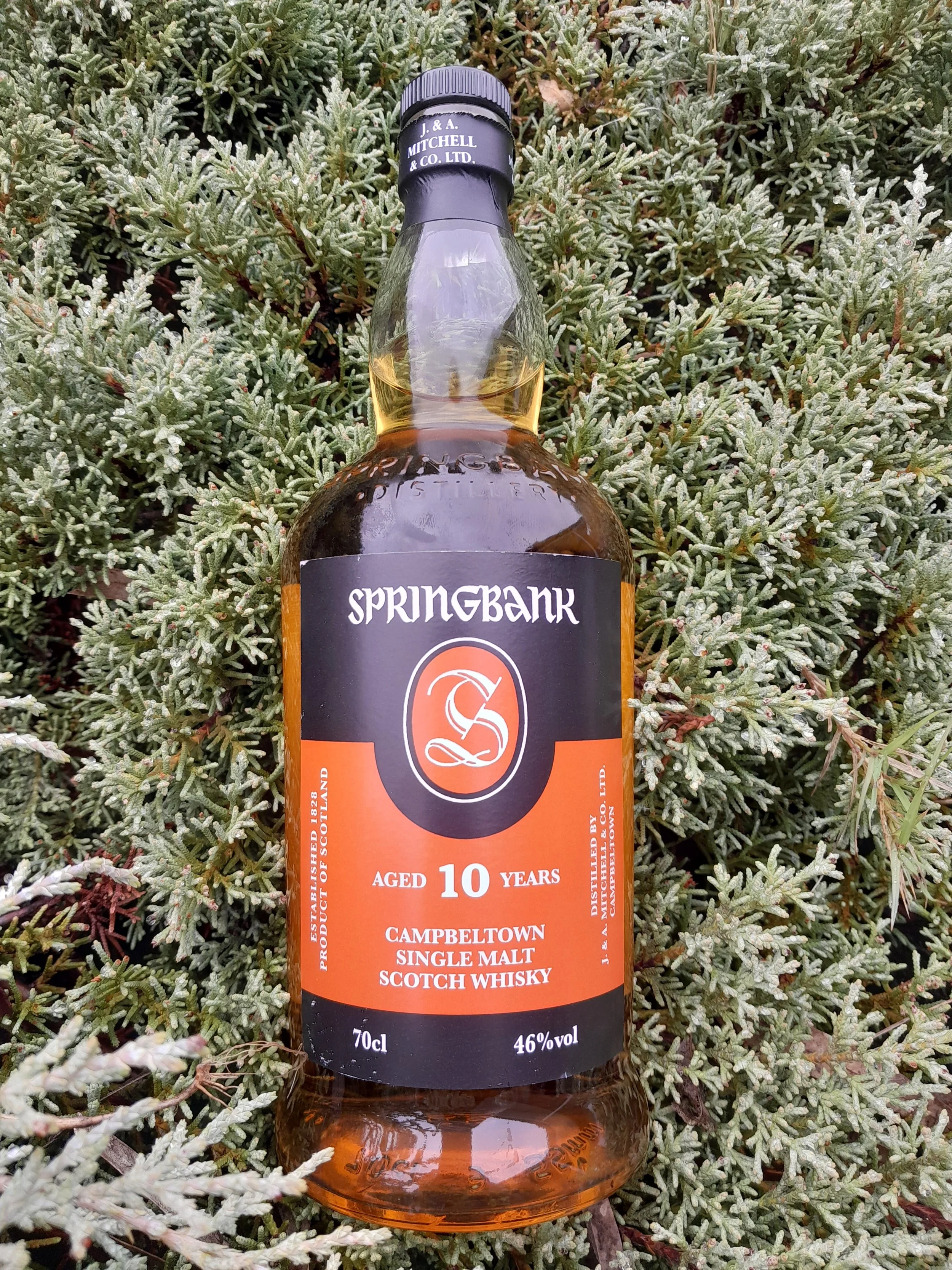 Springbank Local Barley 10yo 2011 — Dramface